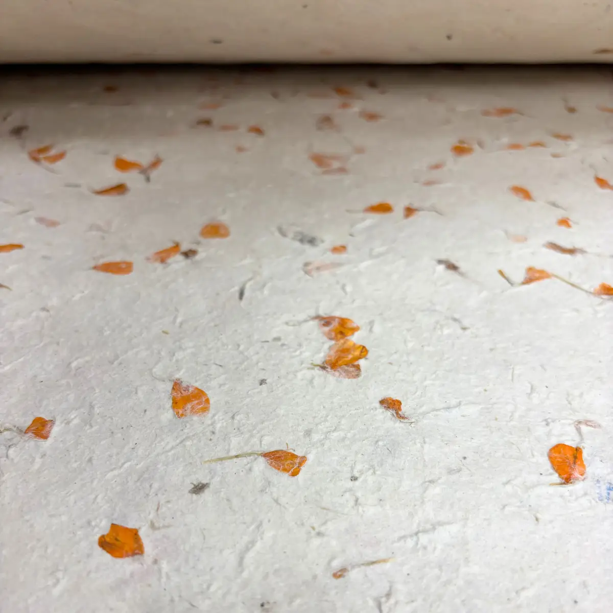 Lokta-papper för presentinslagning 51x76 cm med ringblomma - produktbild 6