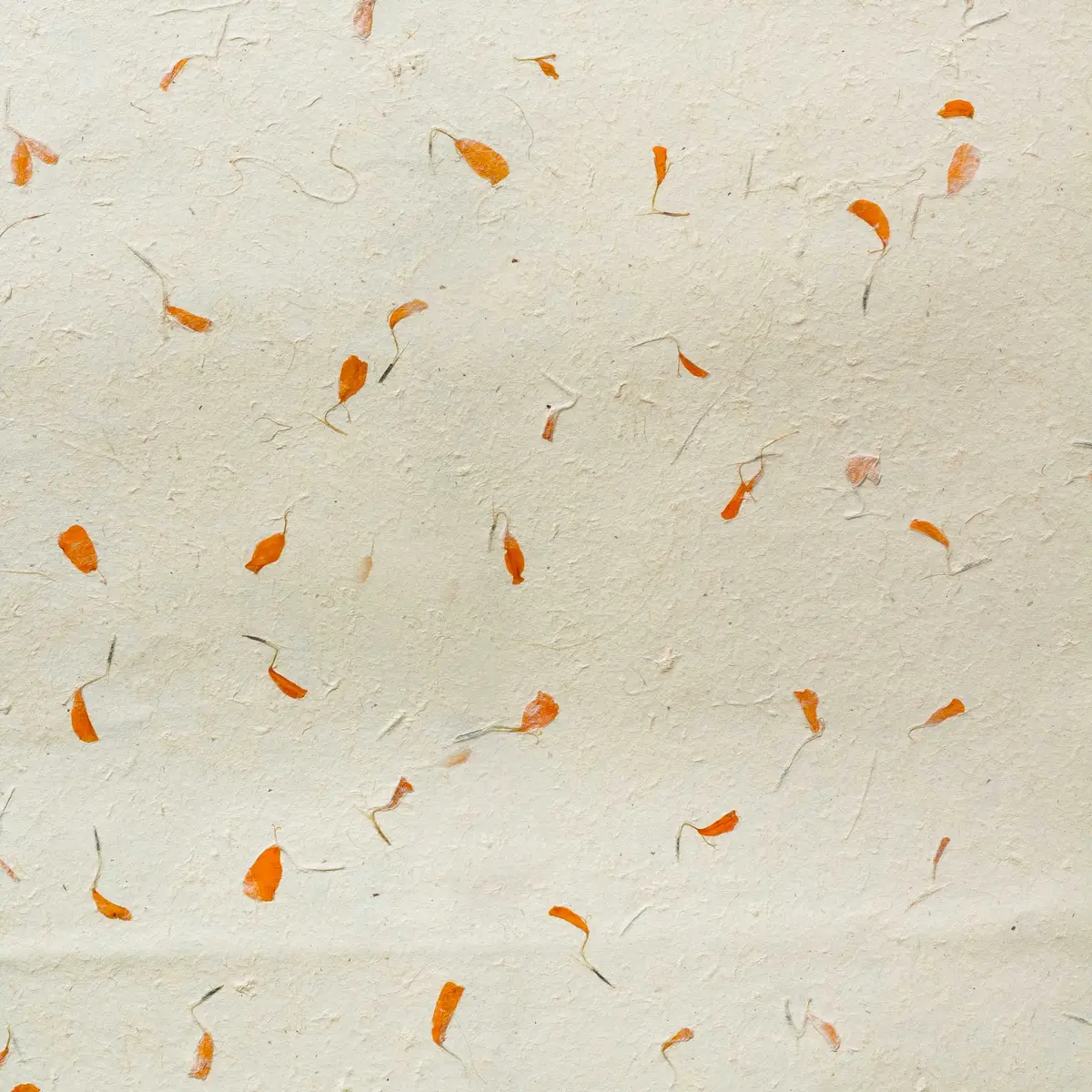 Handgjort Lokta-papper med inslag av torkade orange ringblommor på ljus bakgrund