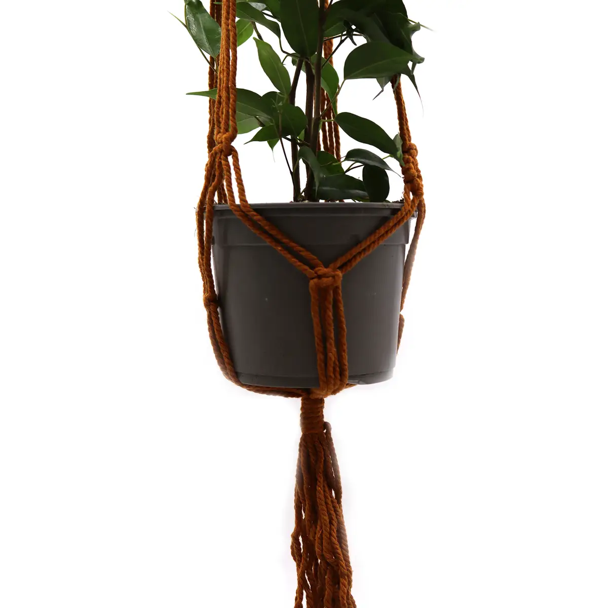 Makraméampel i chokladbrunt med grön växt i plastkruka