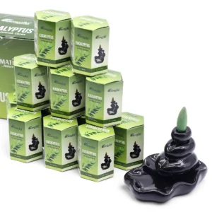 Masala Backflow rökelsekoner 10-pack Eukalyptus - produktbild 2