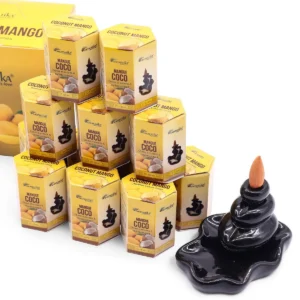 Masala Backflow rökelsekoner 10-pack kokos och mango - produktbild 3