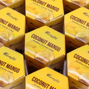 Masala Backflow rökelsekoner 10-pack kokos och mango - produktbild 6