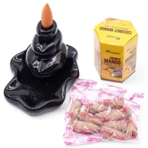 Masala Backflow rökelsekoner 10-pack kokos och mango - produktbild 7