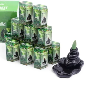 Masala Backflow rökelsekoner 10-pack Rain Forest - produktbild 2