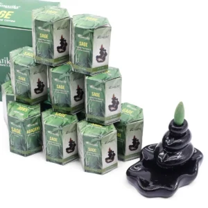 Masala Backflow Rökelsekoner 10-pack Salvia - produktbild 3