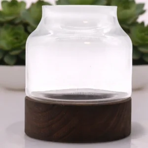 Formgivet glasterrarium med rundad glasbehållare på bas i mörkt tungträ