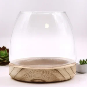 Medium glasterrarium med rund glasbehållare och naturlig tungträbotten