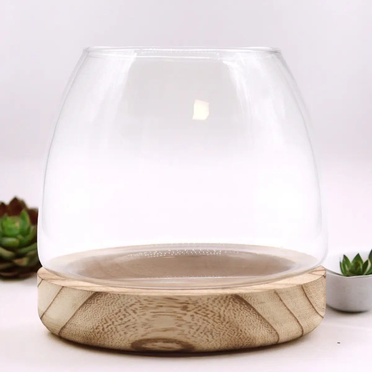 Medium glasterrarium med rund glasbehållare och naturlig tungträbotten