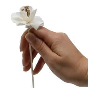 Hand som håller en vit naturlig doftblomma formad som en lilja på en tunn vasspinne