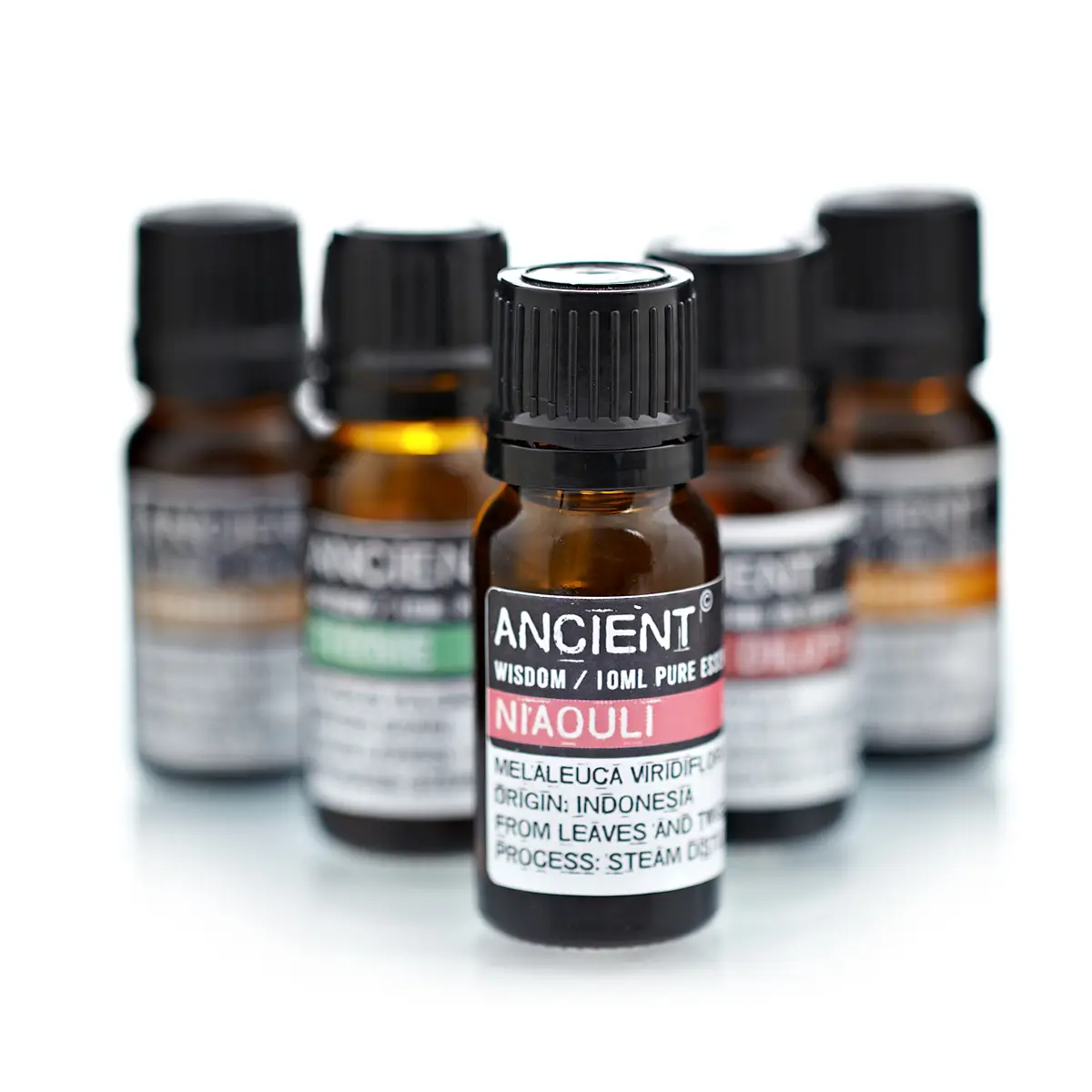 Niaouli eterisk olja 10 ml - produktbild 3