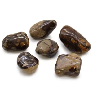 Sex stora trumlade jaspisstenar med bruna och beige mönster på vit bakgrund