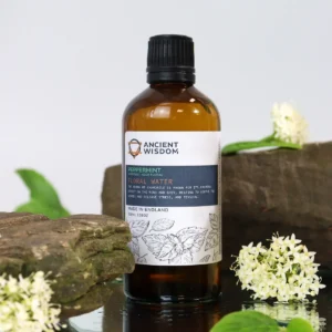 Pepparmyntshydrolat 100 ml - produktbild 2