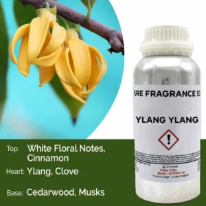 Flaska med ren doftolja Ylang-Ylang bredvid gul blomma på gren
