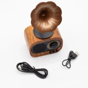 Retro minigrammofonhögtalare med Bluetooth och FM-radio - produktbild 5