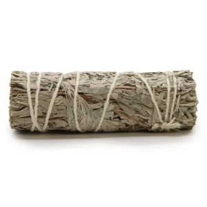 Rökelsesticka av blå salvia bunden med snöre på vit bakgrund