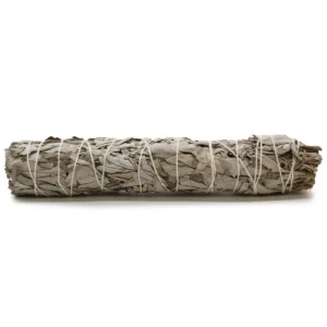 Rökelsesticka av vit salvia bunden med tråd på vit bakgrund