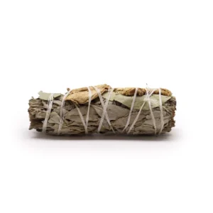 Rökelsesticka med vit salvia, eucalyptus och ingefära på vit bakgrund