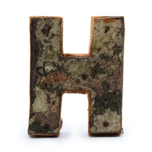 Rustik bokstav H i naturlig bark med textur och färgvariation