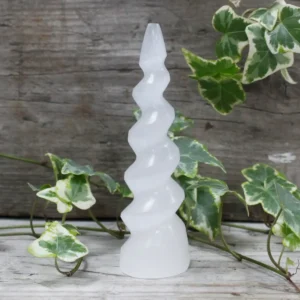 Spiralformat vitt selenittorn i form av enhörningshorn på träyta med gröna blad runtom