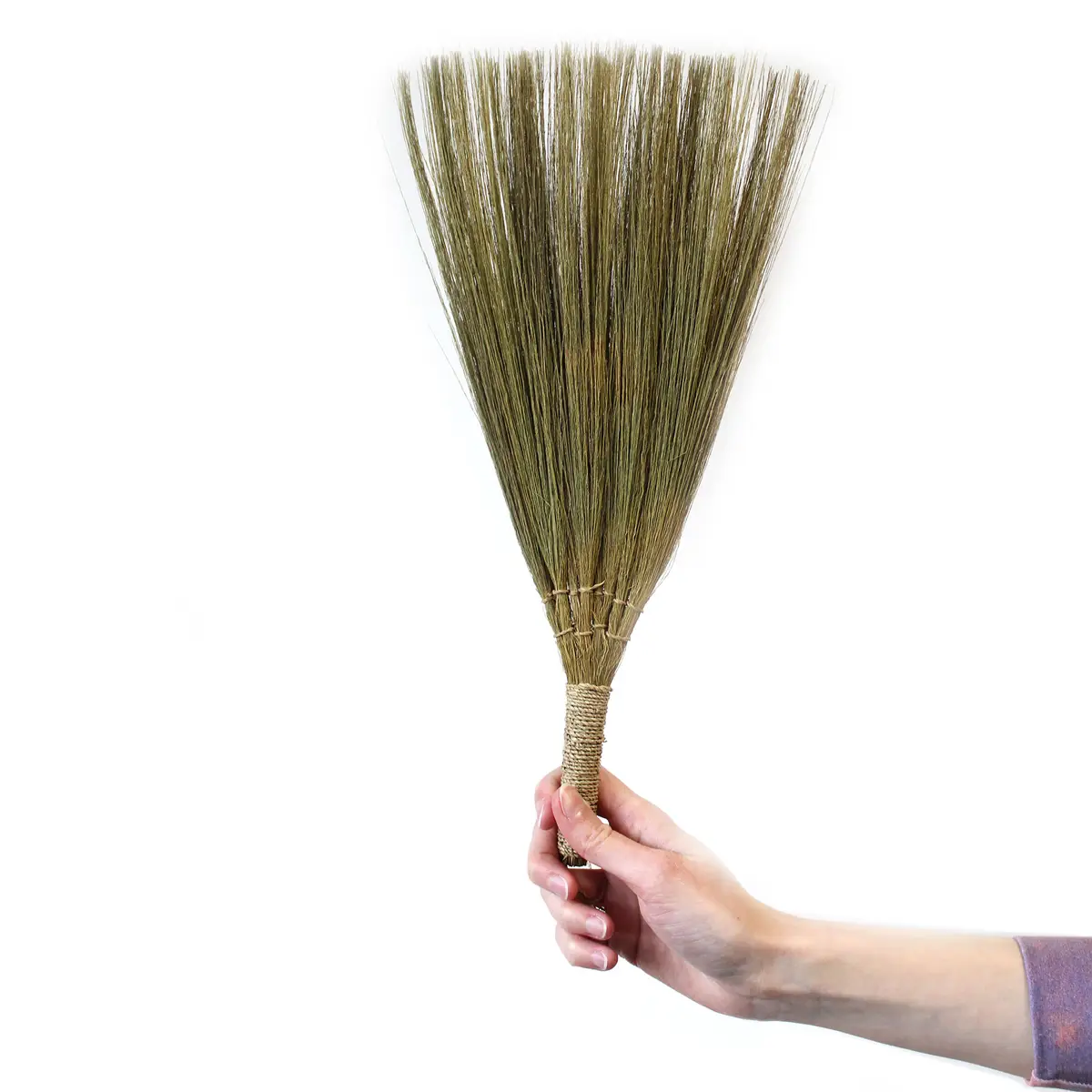 Set med 4 naturliga pampasborstar i blandade storlekar - produktbild 5