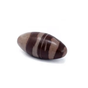 Äggformad Shiva Lingam-sten med bruna och beige ränder på vit bakgrund