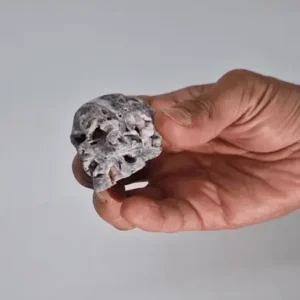 Skalle i kalciumkarbonatgeod med snidning, ca 4,5 cm - produktbild 3
