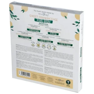Stamford Premium Växtbaserade Backflow Rökelsekoner Sweet Frankincense - produktbild 2