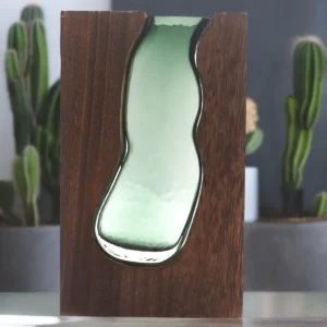 Stor glasvas och terrarium med mörk tungträbas på bord med kaktusar i bakgrunden