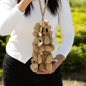 Stor Pangi-fröskalsskakare i naturmaterial (50 skal) - produktbild 5