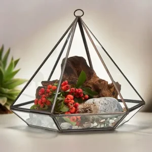 Stort diamantformat glasterrarium med järnram och dekorativa växter och stenar