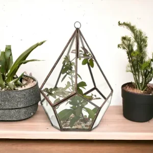Stort pyramidformat glasterrarium med järnram placerat på ett bord mellan två krukväxter