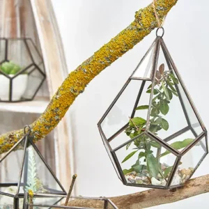Stort glasterrarium i pyramidform med järnram - produktbild 2