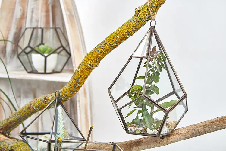 Stort glasterrarium i pyramidform med järnram - produktbild 2