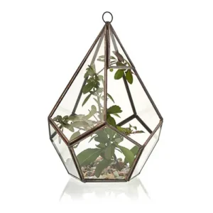 Stort glasterrarium i pyramidform med järnram - produktbild 3