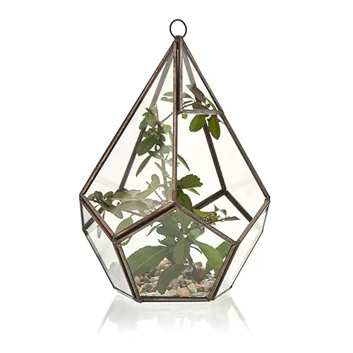Stort glasterrarium i pyramidform med järnram - produktbild 3