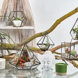 Stort glasterrarium i pyramidform med järnram - produktbild 5