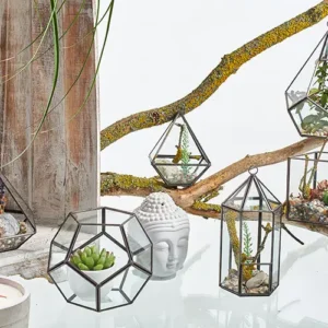Stort glasterrarium oktagon - produktbild 2