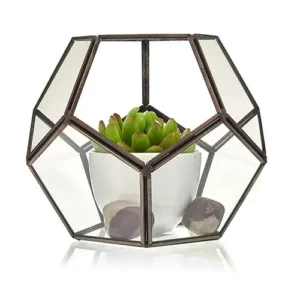Stort glasterrarium oktagon - produktbild 3