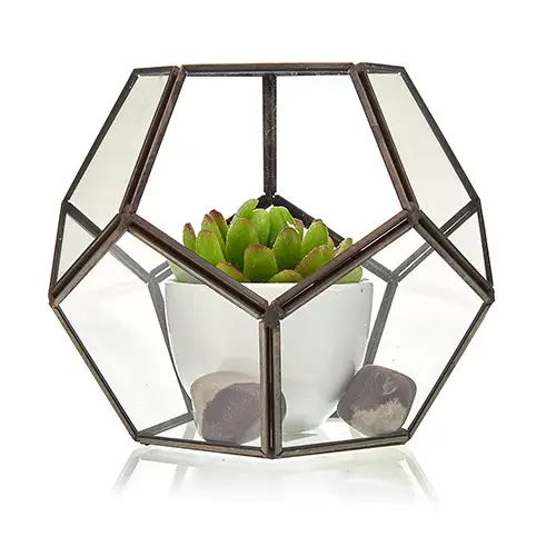 Stort glasterrarium oktagon - produktbild 3