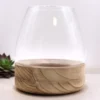 Stort glasterrarium på naturlig tungträbotten 17×19 cm