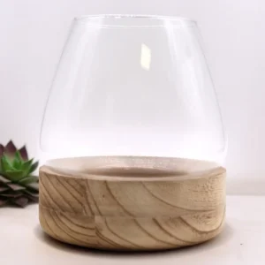 Stort glasterrarium med rund glasbehållare på naturlig tungträbotten