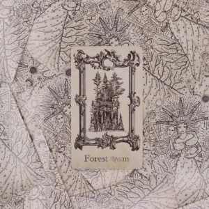 The Spellbook orakelkort – häxkonst och mystik - produktbild 9