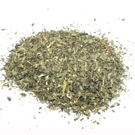 Torkade och skurna blad av grön nässla i en hög på vit bakgrund