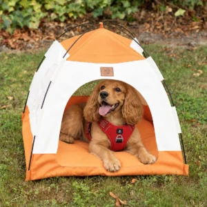 Litet orange och beige djurtält med en liten hund som ligger inuti på en gräsmatta