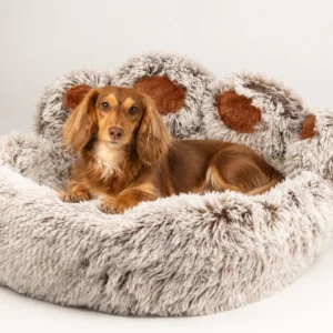 Liten brun hund som ligger i en stor mjuk djurbädd formad som en tass med lång plysch och bruna dynor